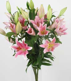 Ankara �ankaya Karum i� ve al��veri� merkezi AVM ucuz �i�ek g�nder 5 Pembe lilyum kazablanka buket �i�ek modeli