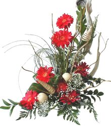 Ankara G�lba�� Evsa Y�lpa AVM kaliteli taze ve ucuz �i�ekler Kirmizi gerbera �zel tanzim