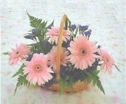 gerbera �i�eklerinde sepet  Ankara Etlik Antares Al��veri� merkezi AVM �i�ek yolla