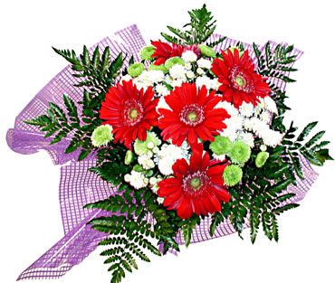 gerbera ve krizantem demeti Ankara �ankaya Panora AVM �i�ek�i ma�azas�