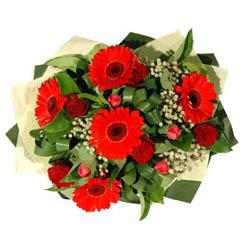 Ankara �ankaya Karum i� ve al��veri� merkezi AVM ucuz �i�ek g�nder  5 adet kirmizi g�l 5 adet gerbera demeti