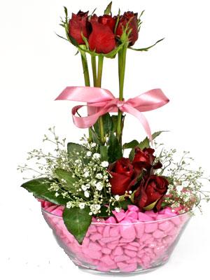 Ankara Mamak Nata Vega AVM �i�ek�iler SEVIYORUM DIYENLER 7 kirmizi g�l tanzim 