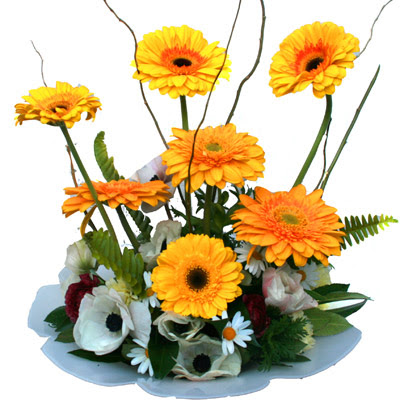 camda gerbera ve mis kokulu kir �i�ekleri Ankara �ankaya Ankamall AVM �i�ek�i telefonlar�