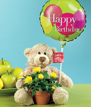 Ankara �ankaya Panora AVM �i�ek�i ma�azas� Ayicik balon ve saksida sari g�ller