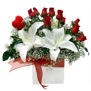 Ankara �ankaya Panora AVM �i�ek�i ma�azas� 1 dal kazablanka 11 adet k�rm�z� g�l vazosu