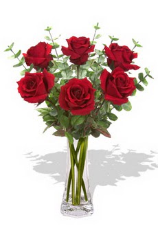 Ankara �ankaya Panora AVM �i�ek�i ma�azas� 6 k�rm�z� g�l vazosu