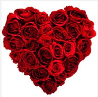 Ankara Etimesgut Optimum AVM �i�ek�i adresleri telefonlar� 19 adet k�rm�z� g�lden kalp tanzimi