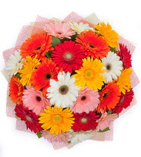 15 adet renkli gerbera buketi Carrefoursa AVM Ankara �i�ek sipari�i 