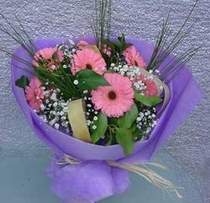 Ankara FTZ Al��veri� merkezi AVM �i�ek�iler �i�ek g�nder 9 adet gerbera g�zel �i�egi