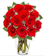 12 adet vazoda k�pk�rm�z� g�l Ankara Yenimahalle Podium AVM  cicek , cicekci 