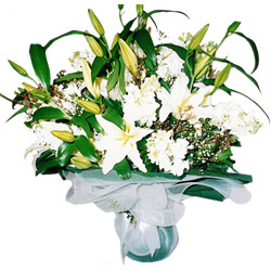 Ankara �ankaya Panora AVM �i�ek�i ma�azas� Kazablanka ve gerbera demeti