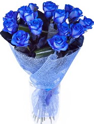 9 adet mavi g�lden buket �i�e�i Ankara Ke�i�ren Forum Outlet AVM �i�ek�i �i�ek sipari�i