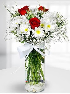 3 k�rm�z� g�l ve krizantemler camda Ankara G�lba�� �ar�� AVM �i�ek ma�azas� , �i�ek�i adresleri