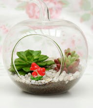 K���k elma terrarium 3 kakt�s Ankara Yenimahalle Gordion Al��veri� Merkezi AVM online �i�ek g�nderme sipari�