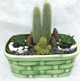 Seramik i�erisinde 5 kakt�sl� terrarium Ankara FTZ Al��veri� merkezi AVM �i�ek�iler �i�ek g�nder