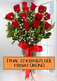  �thal k�rm�z� 12 adet kaliteli g�l Ankara �ankaya Karum i� ve al��veri� merkezi AVM ucuz �i�ek g�nder