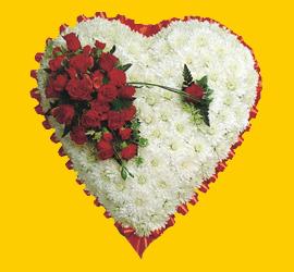 Ankara Bilkent Center AVM �i�ek yolla , �i�ek g�nder , �i�ek�i 1.20m x 1.20m  Gerbera G�ller