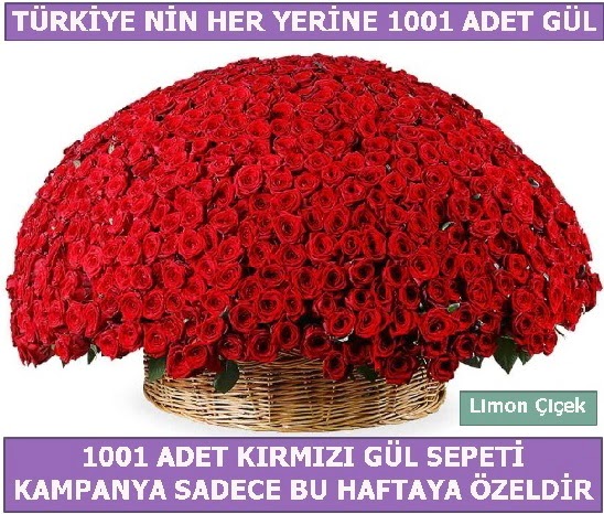 1001 Adet k�rm�z� g�l Bu haftaya �zel Ankara Mamak Nata Vega AVM �i�ek�iler