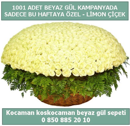 1001 adet beyaz g�l sepeti �zel kampanyada Ankara FTZ Al��veri� merkezi AVM �i�ek�iler �i�ek g�nder