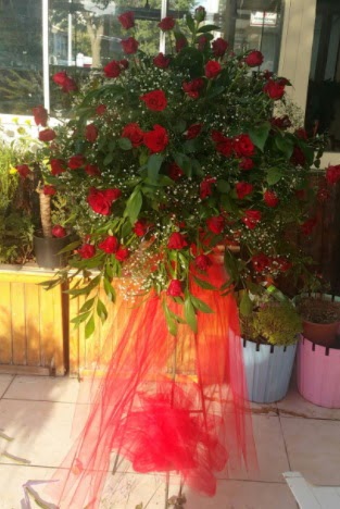 71 adet k�rm�z� g�lden ferf�rje �i�e�i Ankara �ankaya Taurus AVM �i�ek�iler �i�ek sat���
