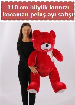 110 cm b�y�k k�rm�z� kocaman pelu� ay� Panora AVM Ankara �i�ek g�nderme