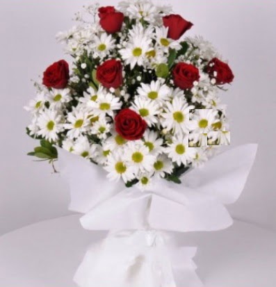 7 adet k�rm�z� g�l ve papatyalar krizantem Ankara ATG Ankara Tren Gar� AVM �i�ek sat���
