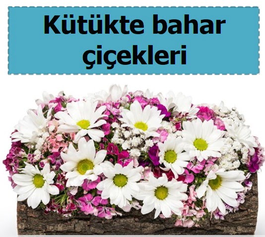 K�t�k i�erisinde k�r �i�ekleri Ankara �ankaya K�z�lay Al��veri� Merkezi AVM �i�ek �i�ek�i , �i�ek�ilik 