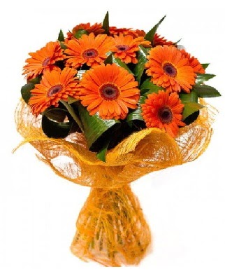 11 adet turuncu gerbera buketi Ankara �ankaya Cepa Al��veri� Merkezi AVM �i�ek�iler