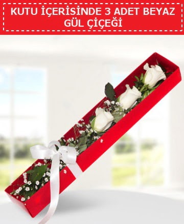 Kutu i�erisinde 3 adet beyaz g�l �i�e�i Ankara Yenimahalle Podium AVM  cicek , cicekci 