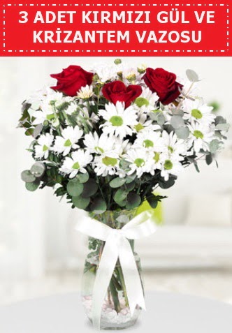 3 k�rm�z� g�l ve camda krizantem �i�ekleri Panora AVM Ankara �i�ek g�nderme