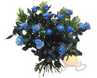 Ankara �ankaya K�z�lay Al��veri� Merkezi AVM �i�ek �i�ek�i , �i�ek�ilik  11 adet mavi g�l �zel tanzim