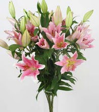 Ankara �ankaya Karum i� ve al��veri� merkezi AVM ucuz �i�ek g�nder 5 Pembe lilyum kazablanka buket �i�ek modeli