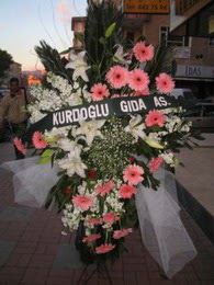 kazablanka,gerbera,sebboy ferforje Ankara �ankaya Panora AVM �i�ek�i ma�azas�
