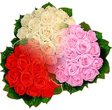 3 renkte g�l seven sever  Ankara �ankaya K�z�lay Al��veri� Merkezi AVM �i�ek �i�ek�i , �i�ek�ilik 
