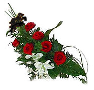 7 adet g�l ve kazablanka  Ankara �ankaya Karum i� ve al��veri� merkezi AVM ucuz �i�ek g�nder