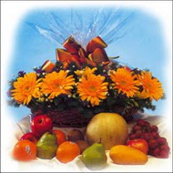 sepette gerbera ve meyvalar  Ankara �ankaya Panora AVM �i�ek�i ma�azas�