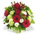 karanfil gerbera ve g�ller - d�s�nenelere �zel - Panora AVM Ankara �i�ek g�nderme