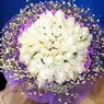 71 adet beyaz g�l buketi  Ankara �ankaya K�z�lay Al��veri� Merkezi AVM �i�ek �i�ek�i , �i�ek�ilik 