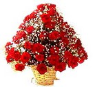 41 adet kirmizi g�l sepette  Ankara �ankaya K�z�lay Al��veri� Merkezi AVM �i�ek �i�ek�i , �i�ek�ilik 