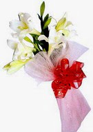 Ankara �ankaya K�z�lay Al��veri� Merkezi AVM �i�ek �i�ek�i , �i�ek�ilik  ince vazoda gerbera ve ayi