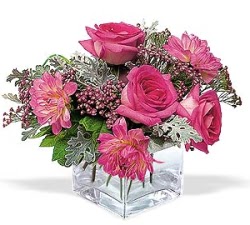 Ankara Yenimahalle Acity Premium Outlet AVM cicekciler , cicek siparisi cam i�erisinde 5 g�l 7 gerbera �i�egi