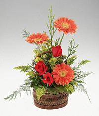 Ankara Yenimahalle Acity Premium Outlet AVM cicekciler , cicek siparisi sepet i�erisinde 3 g�l ve 3 gerbera tanzimi