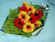 t�l i�erisinde gerbera �i�ekleri 11 adet Ankara Yenimahalle Podium AVM  cicek , cicekci 
