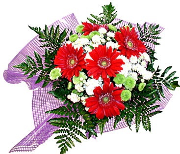gerbera ve krizantem demeti Ankara �ankaya Panora AVM �i�ek�i ma�azas�
