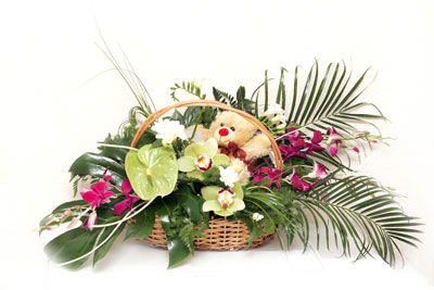 Ankara G�lba�� �ar�� AVM �i�ek ma�azas� , �i�ek�i adresleri sepet i�erisinde antorium ve orkide ayicik