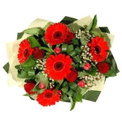 Ankara �ankaya Karum i� ve al��veri� merkezi AVM ucuz �i�ek g�nder  5 adet kirmizi g�l 5 adet gerbera demeti