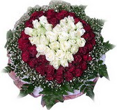 Ankara G�lba�� �ar�� AVM �i�ek ma�azas� , �i�ek�i adresleri 27 adet kirmizi ve beyaz g�l sepet i�inde