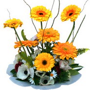 camda gerbera ve mis kokulu kir �i�ekleri Ankara �ankaya Ankamall AVM �i�ek�i telefonlar�