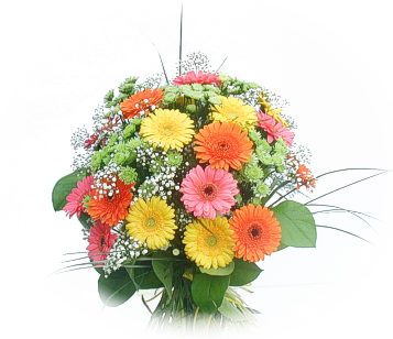 13 adet gerbera �i�egi buketi Ankara Yenimahalle Gordion Al��veri� Merkezi AVM online �i�ek g�nderme sipari�