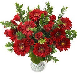 5 adet kirmizi g�l 5 adet gerbera aranjmani Ankara Ke�i�ren Forum Outlet AVM �i�ek�i �i�ek sipari�i